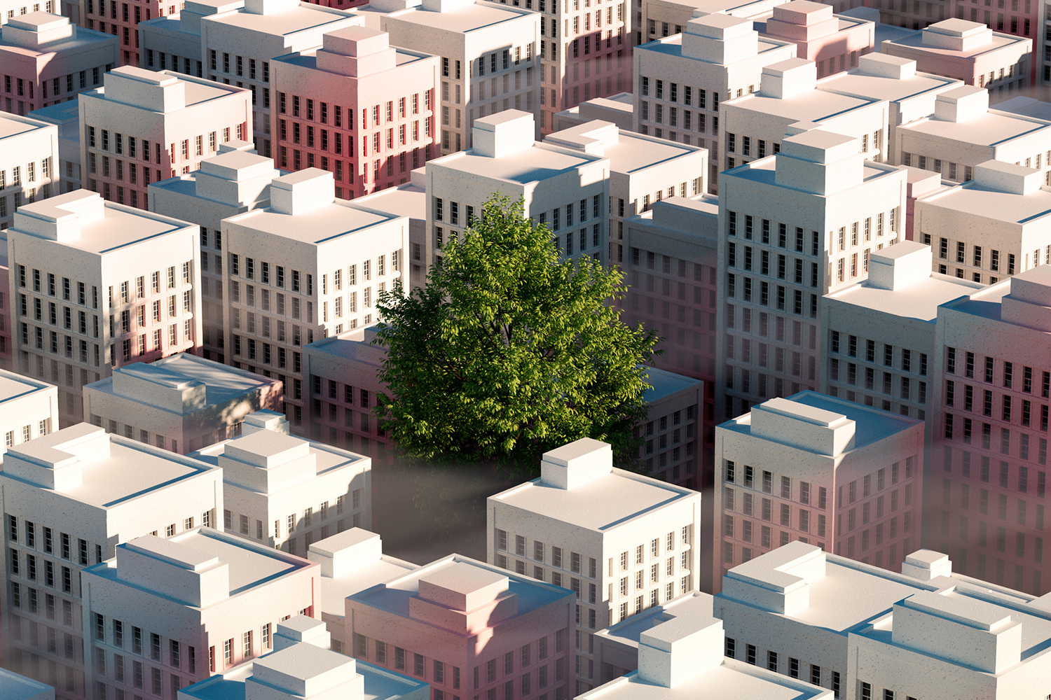 Forest Buildings_Lonely copy_crop