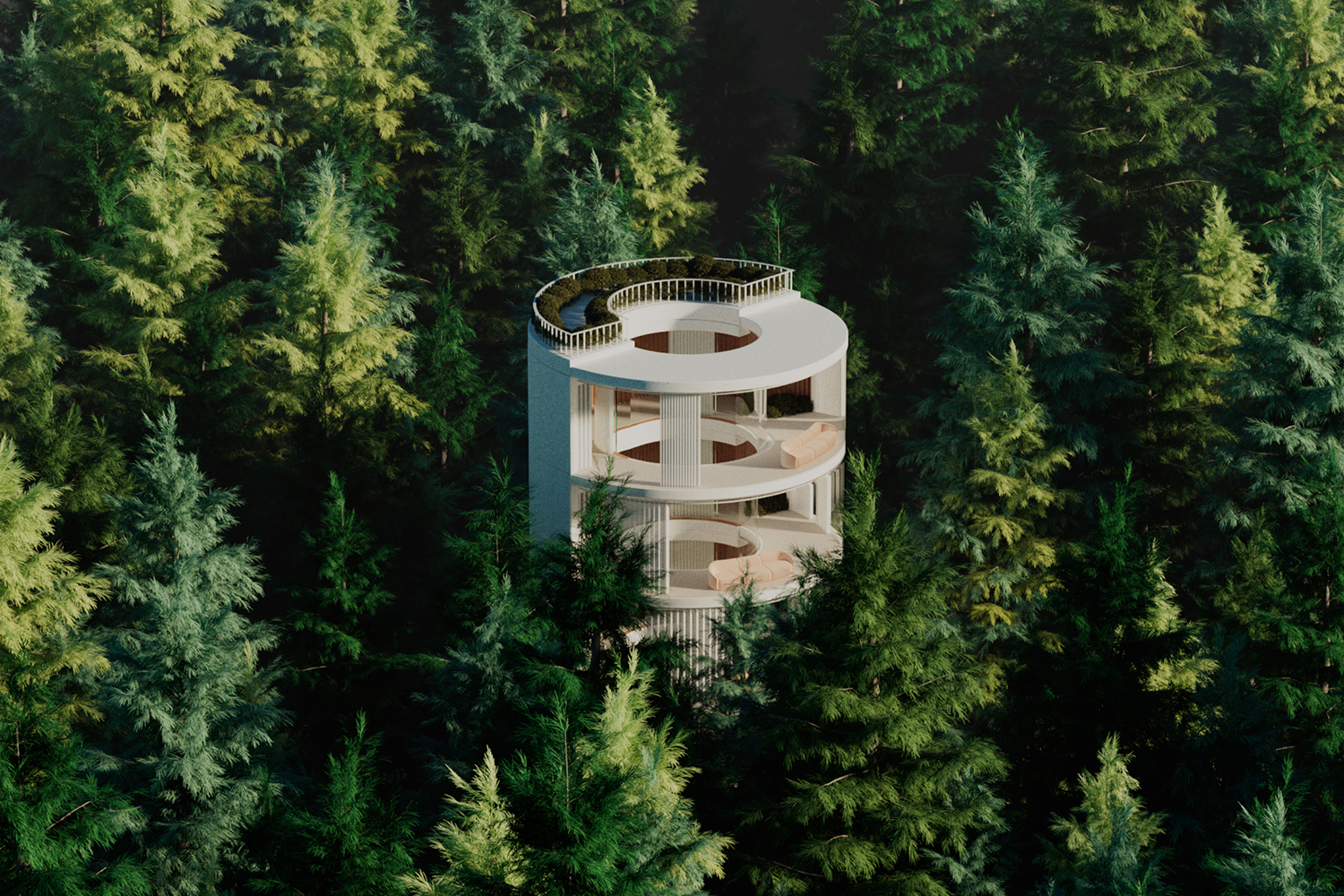 Forest Buildings_Pine forest view copy__crop