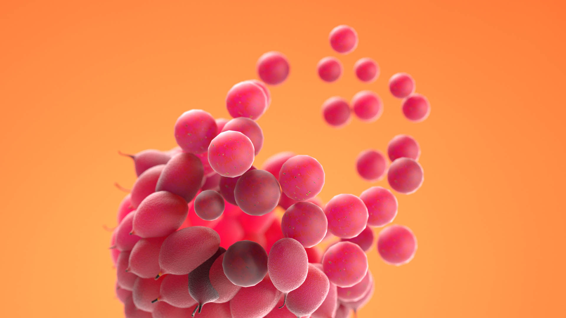 Bubbles-test-1b0010 copy