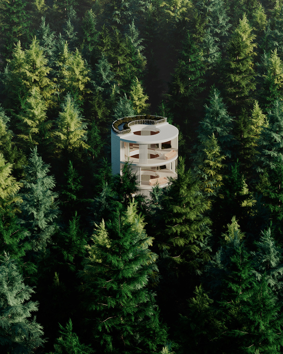 Forest Buildings_Pine forest view_933