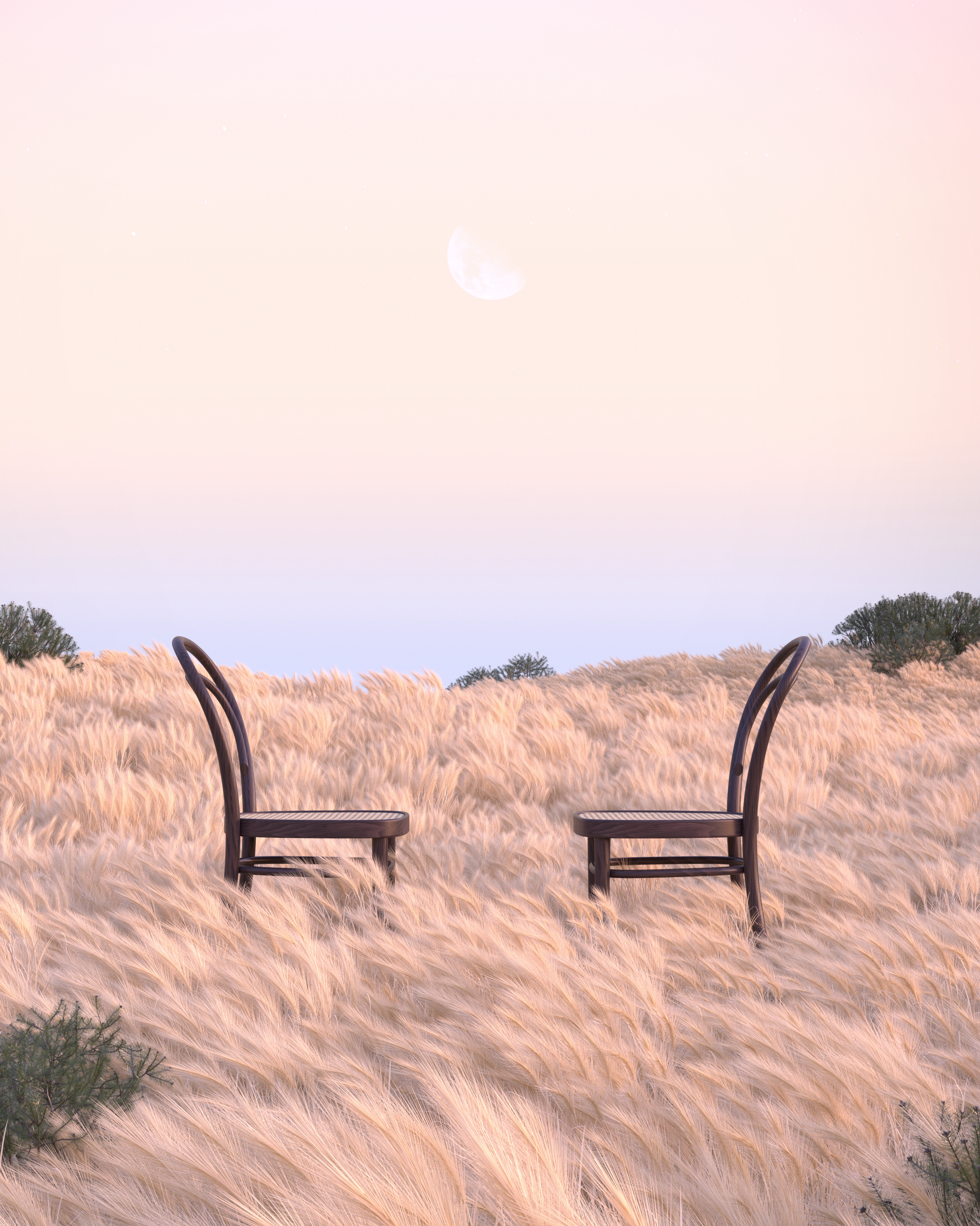 GRASS FIELD 14