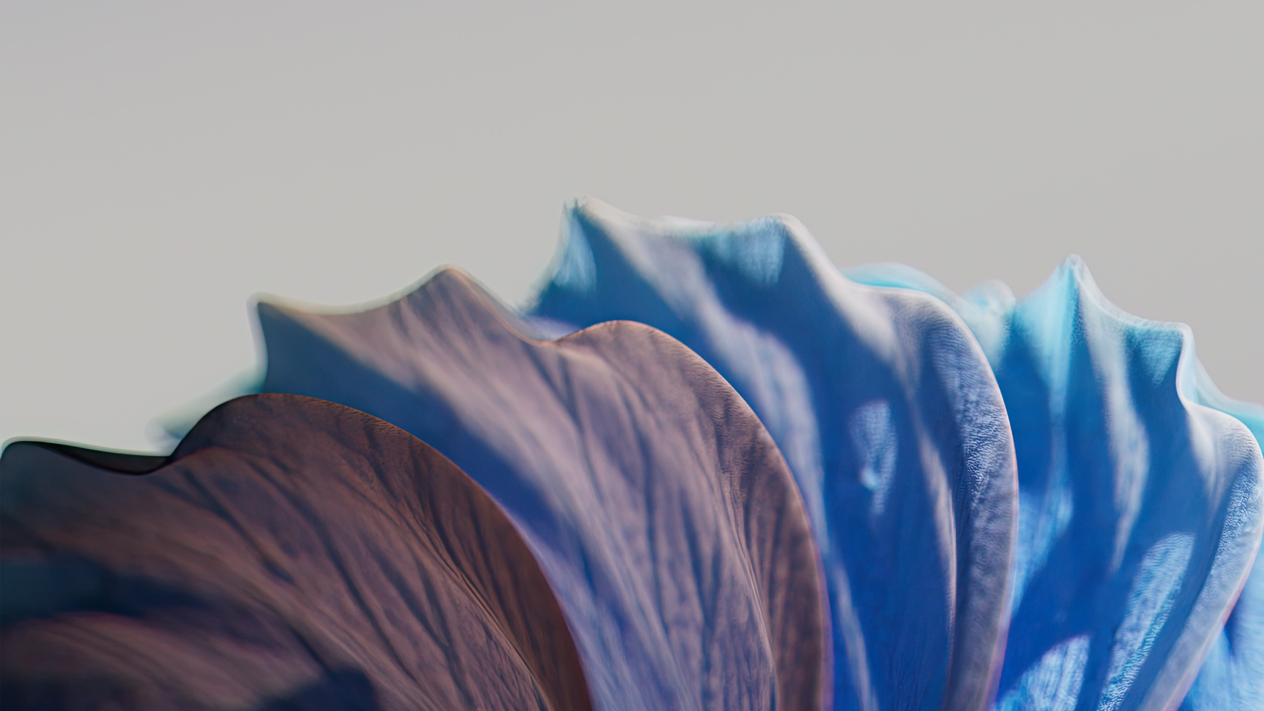 petals