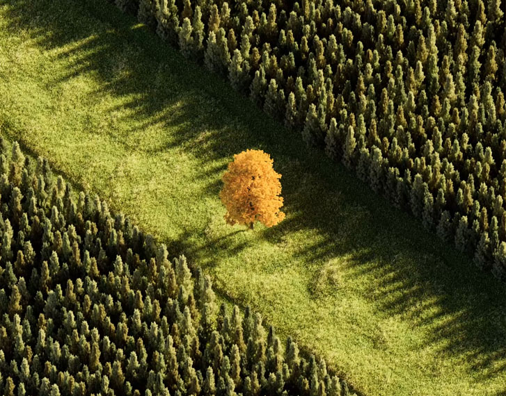 echoes